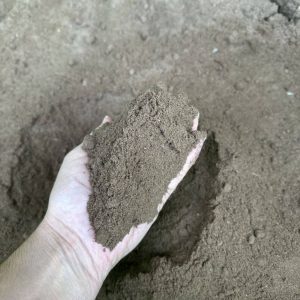 Turf and Lawn Topsoil