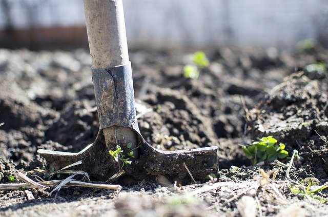 garden spade in soil