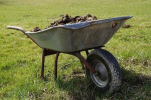 manure in wheelbarrow in field