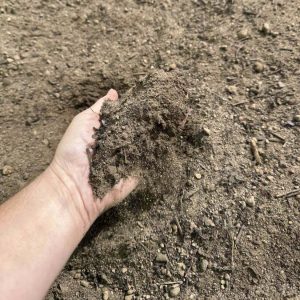 Premium Topsoil