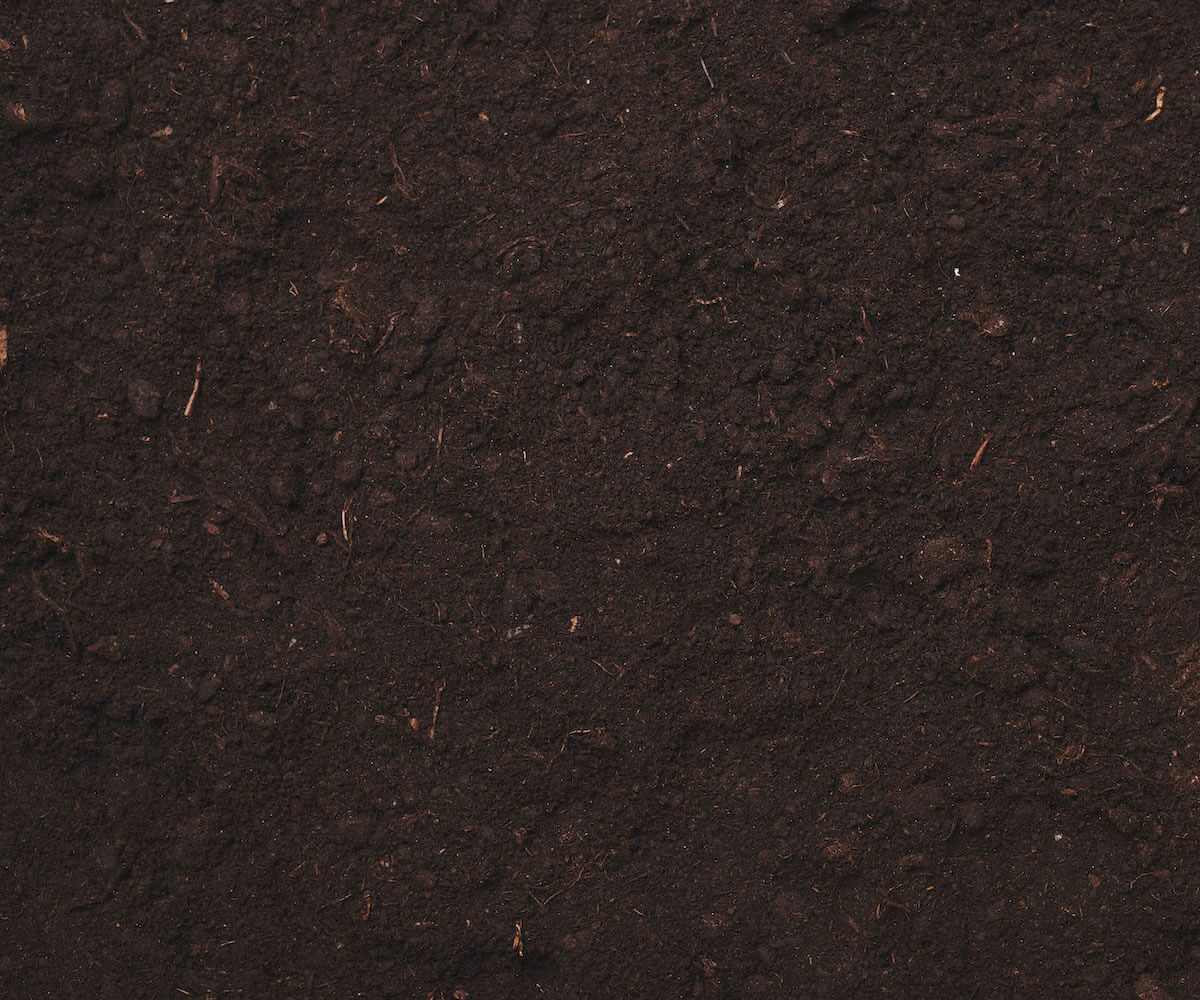 soil