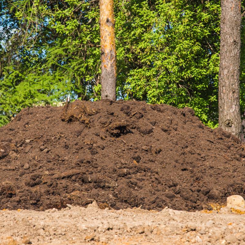 soil pile