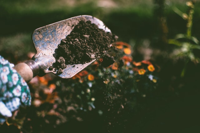Trowel and soil