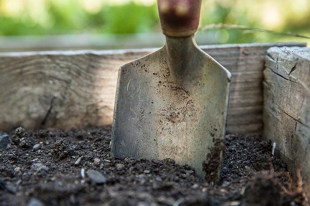 garden spade in soil bed