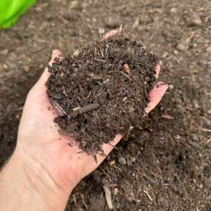 Tree and Shrub Compost