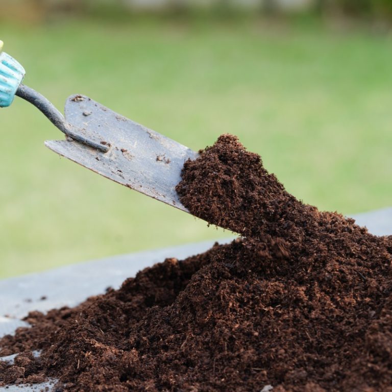 Meet the Team Alsoils