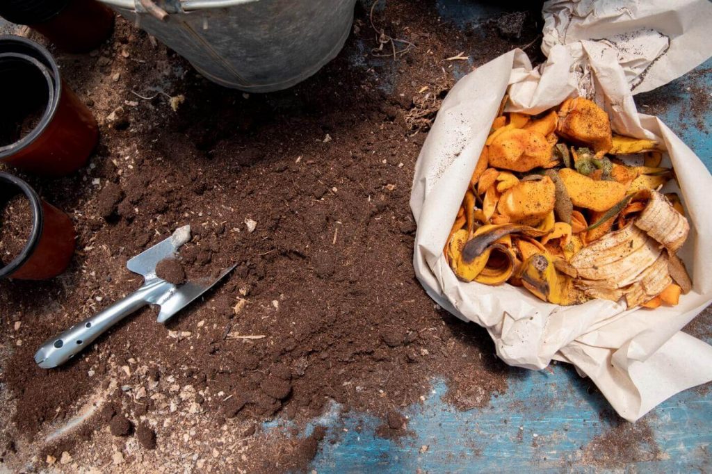 A top down shot of a compost bag and soil