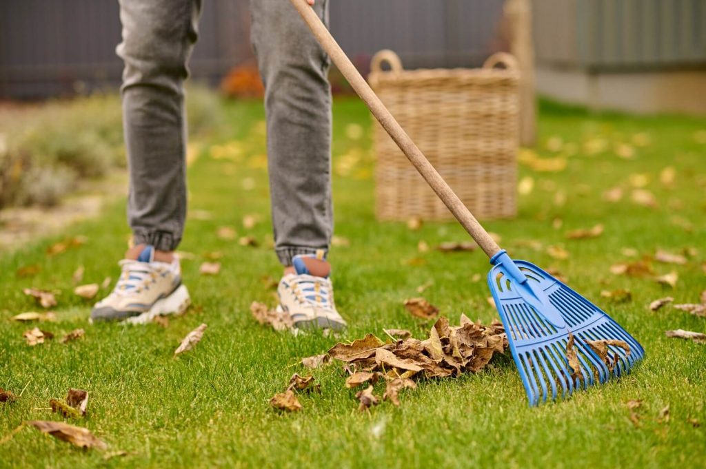 a man raking leaves off of his lawn