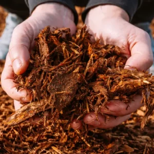 Mulch in hands