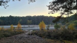 horshell common in woking - topsoil in surrey
