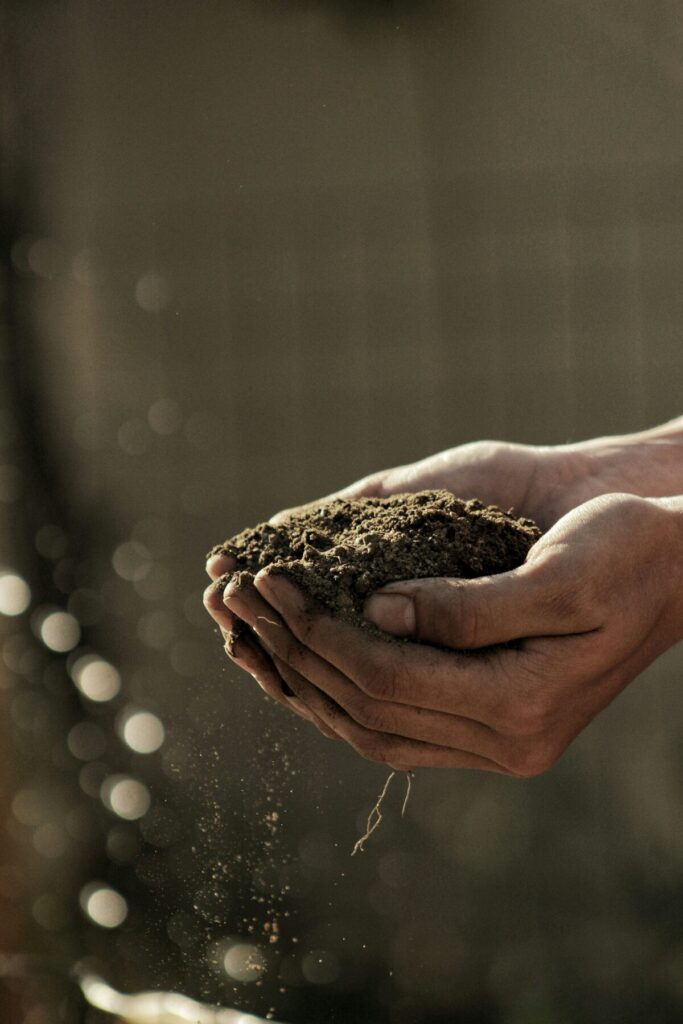 person holding topsoil in surrey