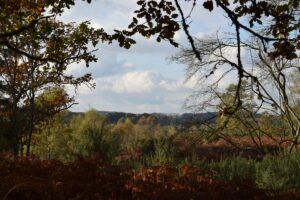 farnham country scene - topsoil in surrey