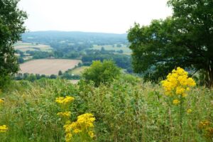 north downs near guildford - topsoil in surrey