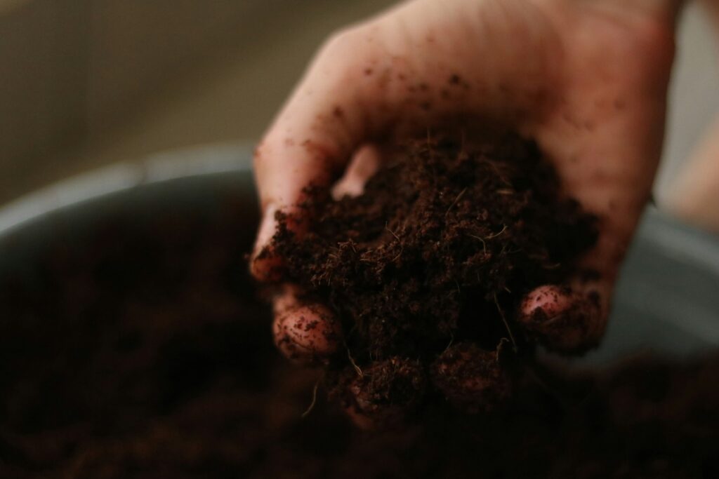 topsoil in taunton - person holding dirt in their hand