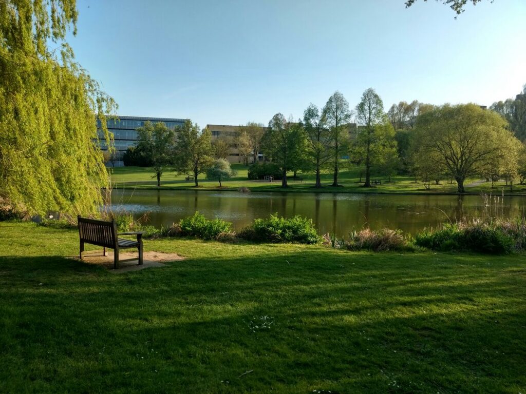topsoil in guildford - green grass field with a bench in guildford
