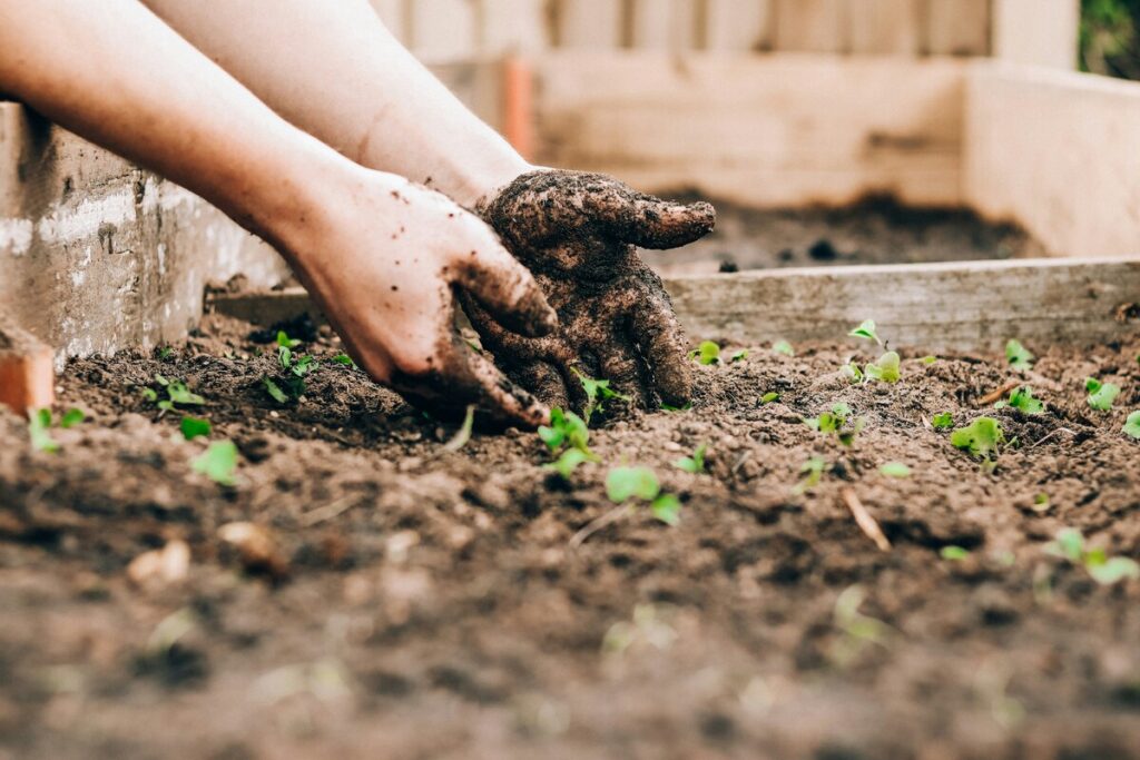 topsoil in guildford - person with hands in dirt