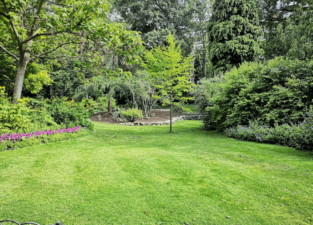 landscaped-garden-leicester